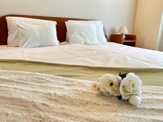 דירות גיולה Cozy Garden Apartman מראה חיצוני תמונה