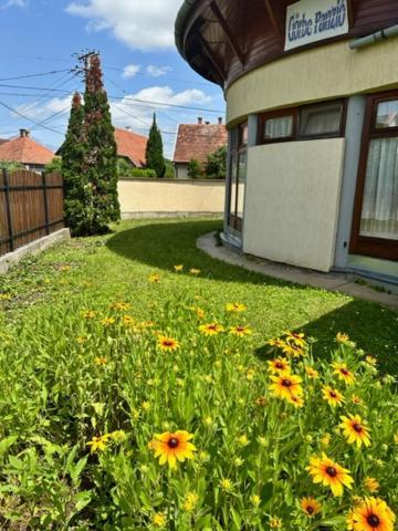 דירות גיולה Cozy Garden Apartman מראה חיצוני תמונה