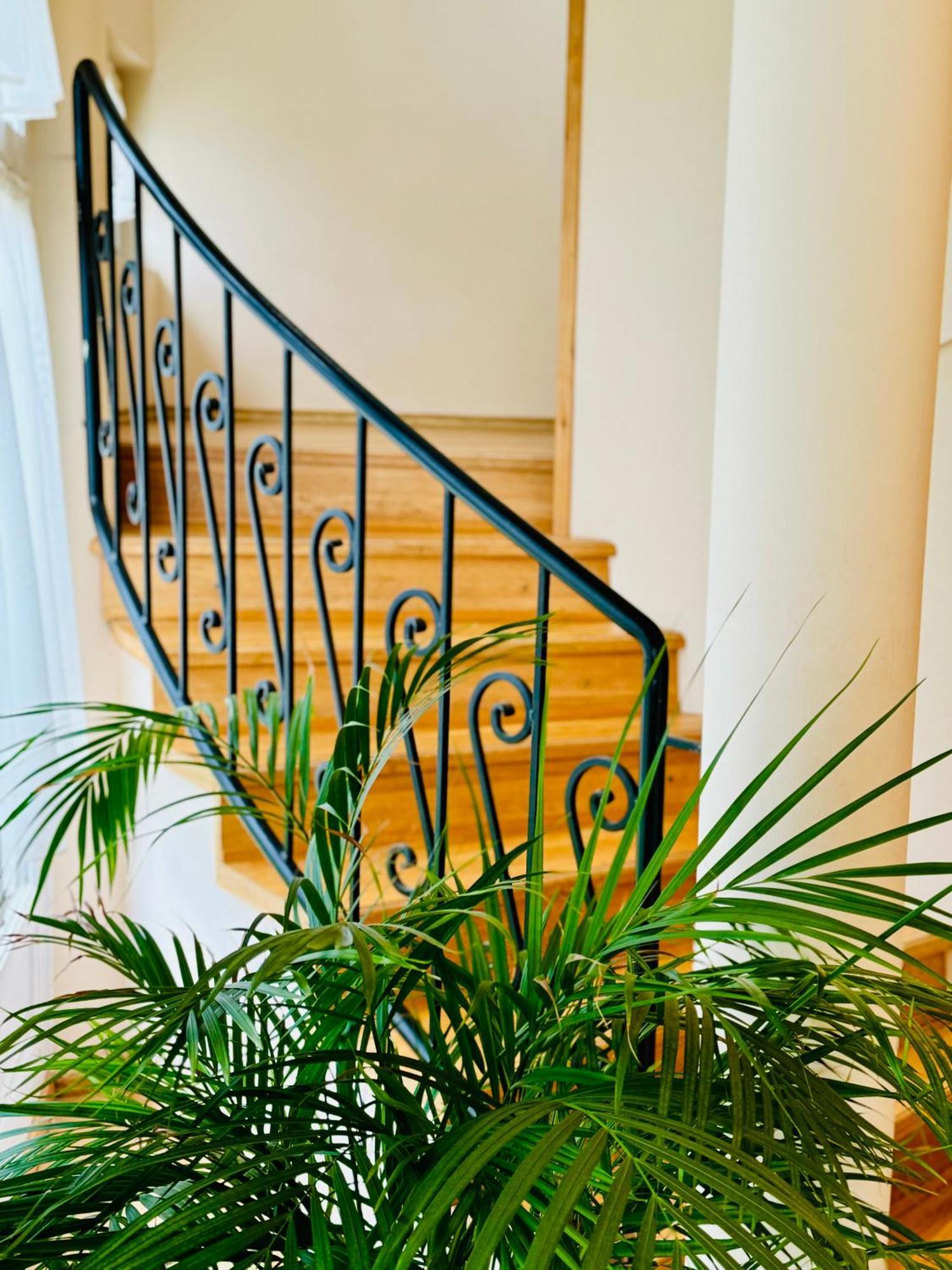 דירות גיולה Cozy Garden Apartman מראה חיצוני תמונה